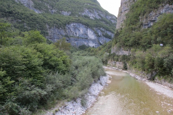 forcella franche (4)